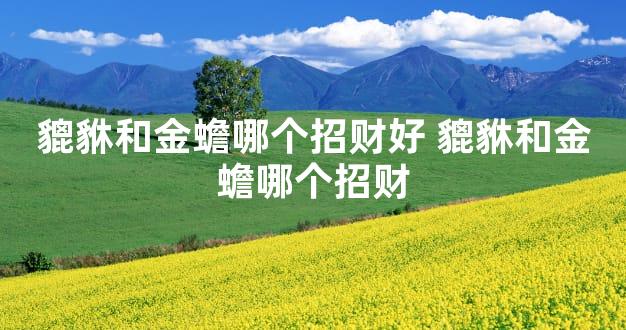 貔貅和金蟾哪个招财好 貔貅和金蟾哪个招财